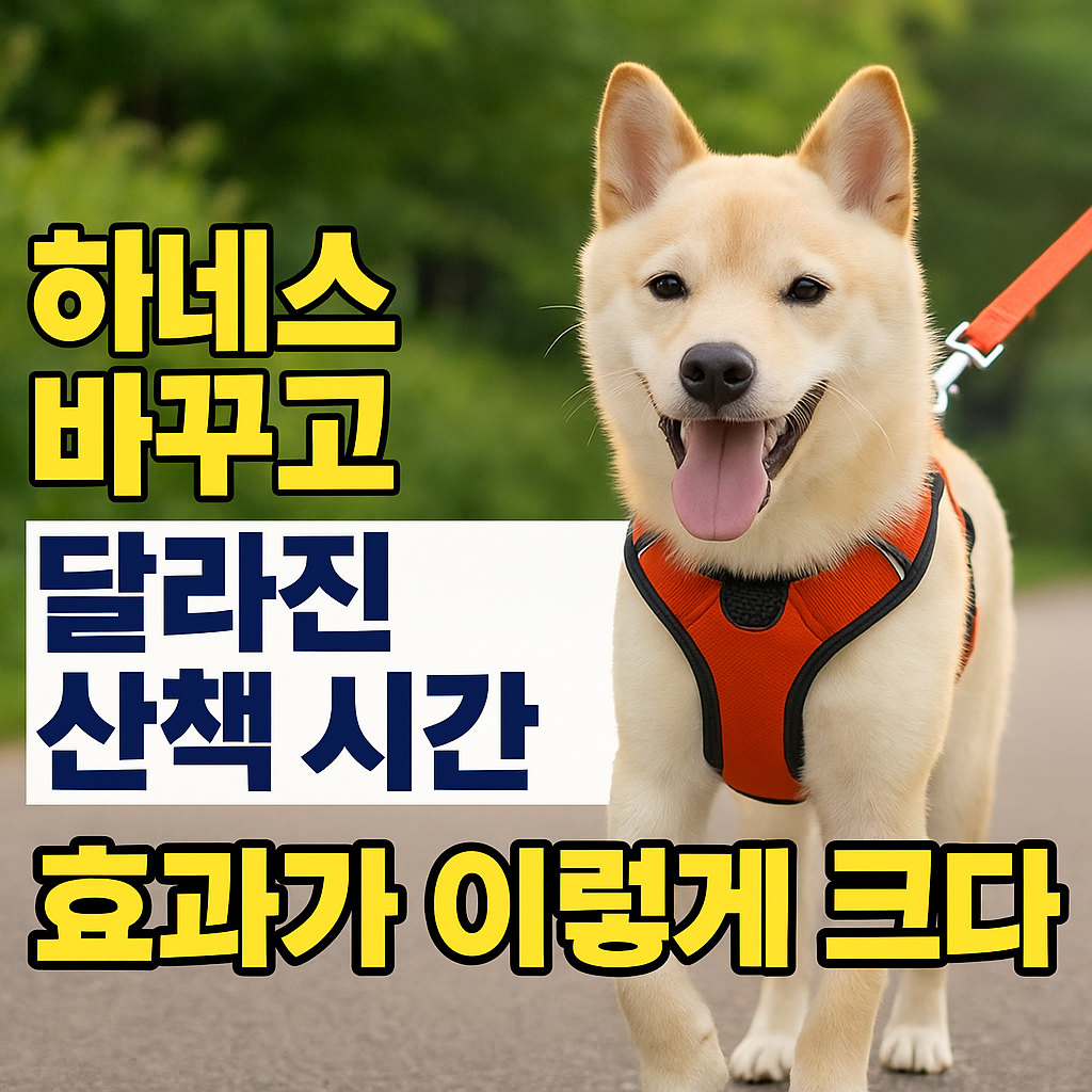 하네스