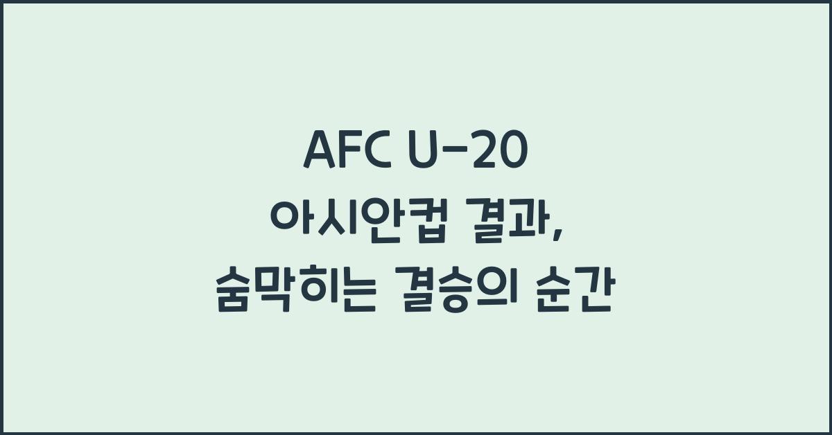 afc u-20 아시안컵 결과