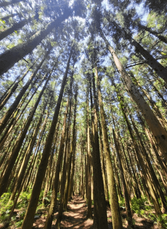 거문오름 탐방 예약 방법 (제주도 명소)