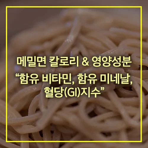 메밀면 칼로리 및 영양성분