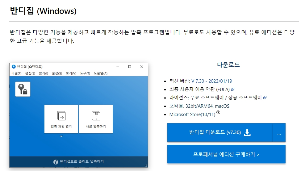 파란색 정식 버전 다운로드 버튼을 클릭하는 모습