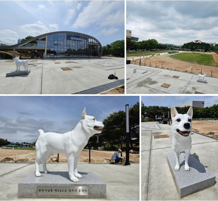 경주 애견 동반 카페