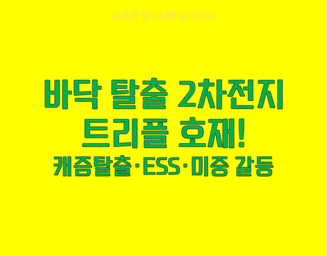 2차전지 섹터 전망