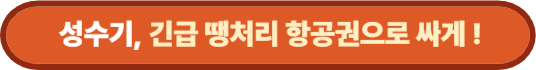 성수기, 긴급 땡처리 항공권 싸게 사는 법!