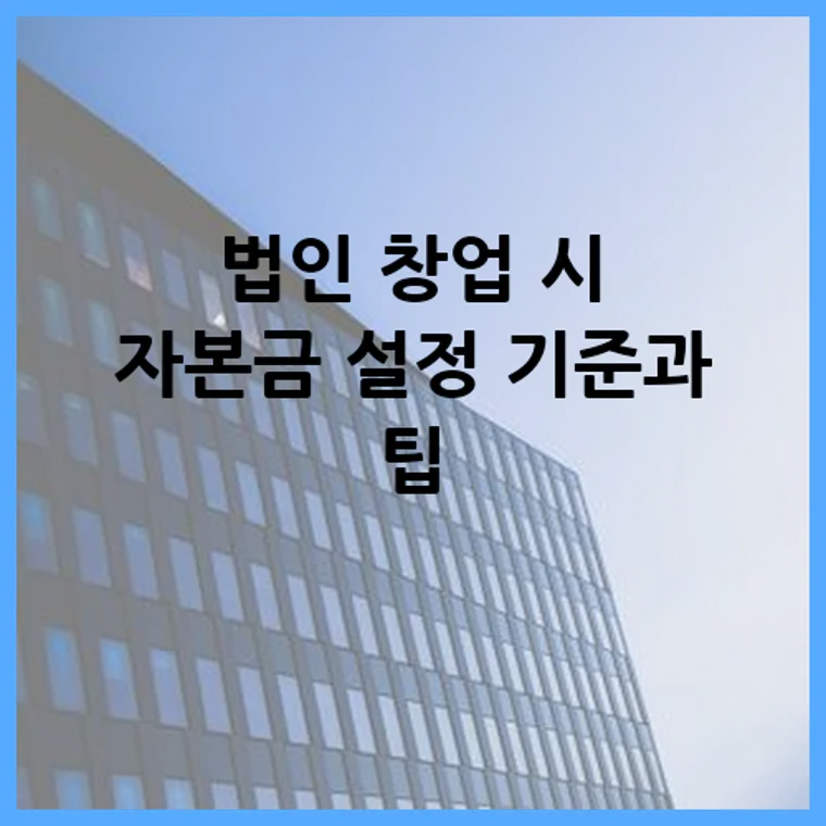 법인 창업 시 자본금 설정 기준과 팁