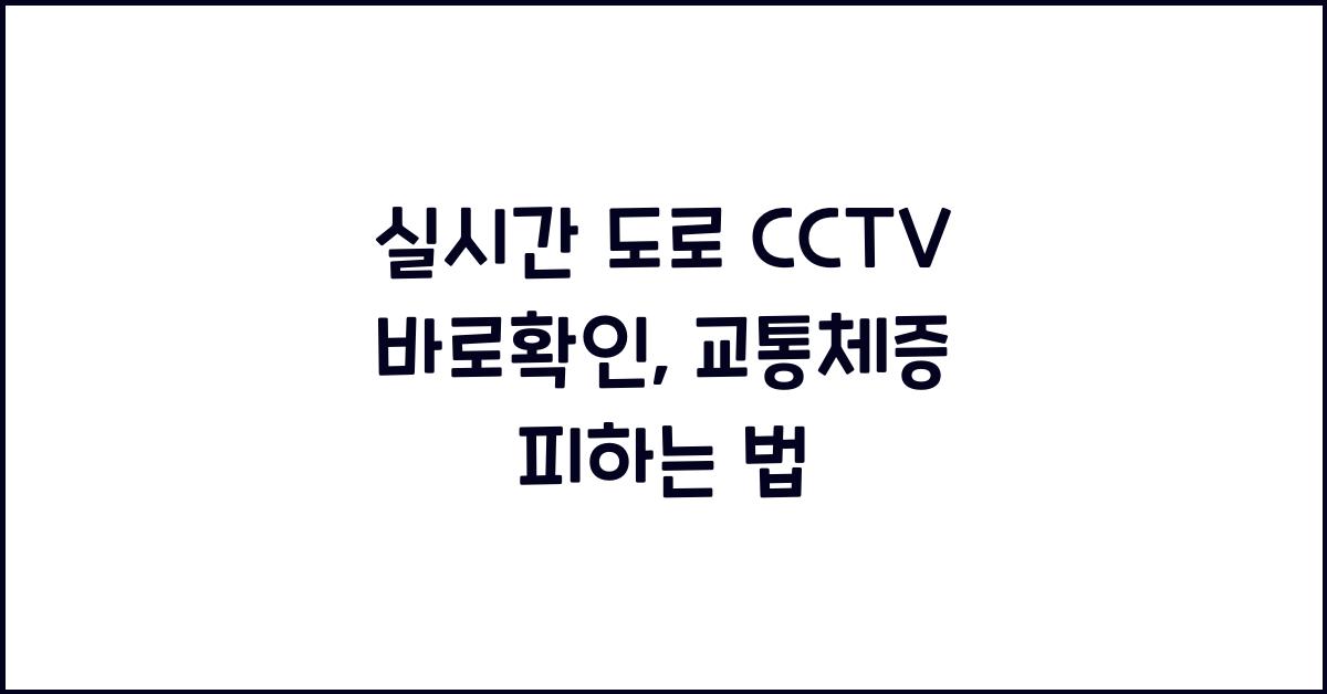 실시간 도로 cctv 바로확인