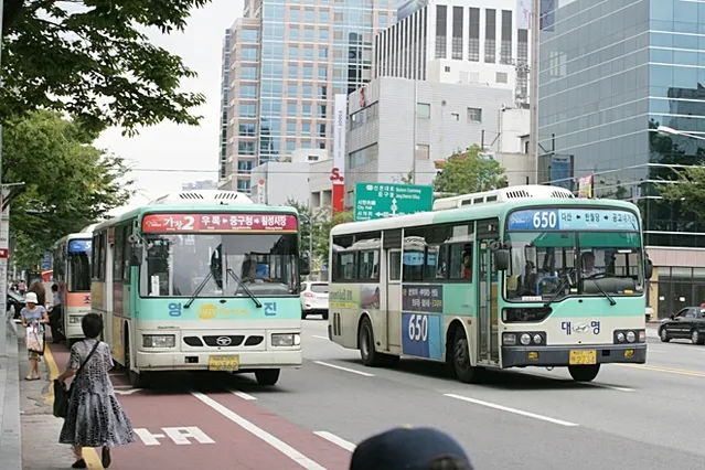 대구 시내버스 첫차시간 노선별 운행정보와 이용 꿀팁_3