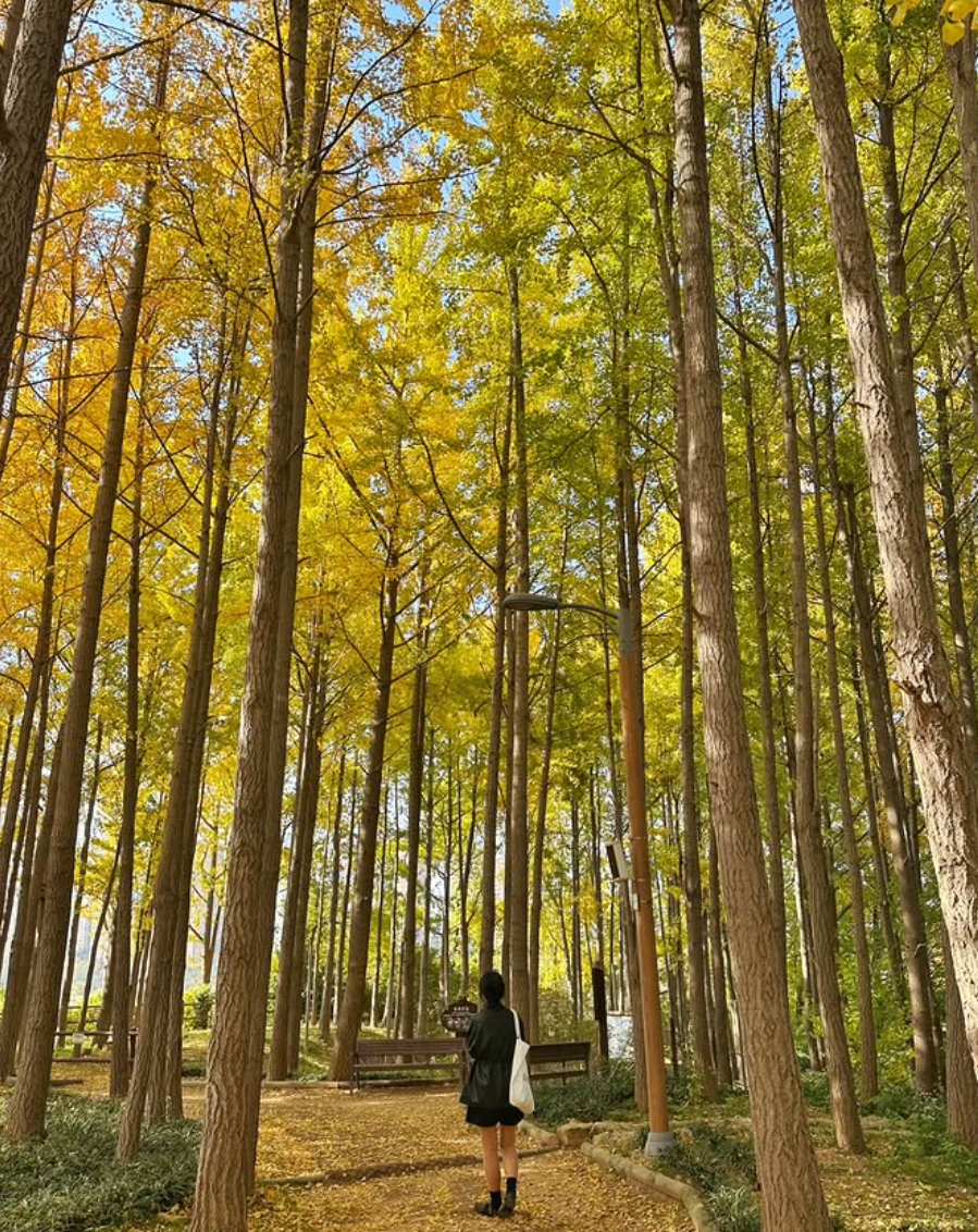 영종도 가볼만한곳 베스트10