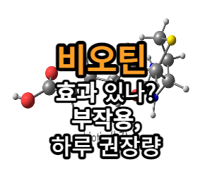 비오틴