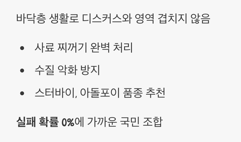 1. 최고의 청소부&amp;#44; 코리도라스