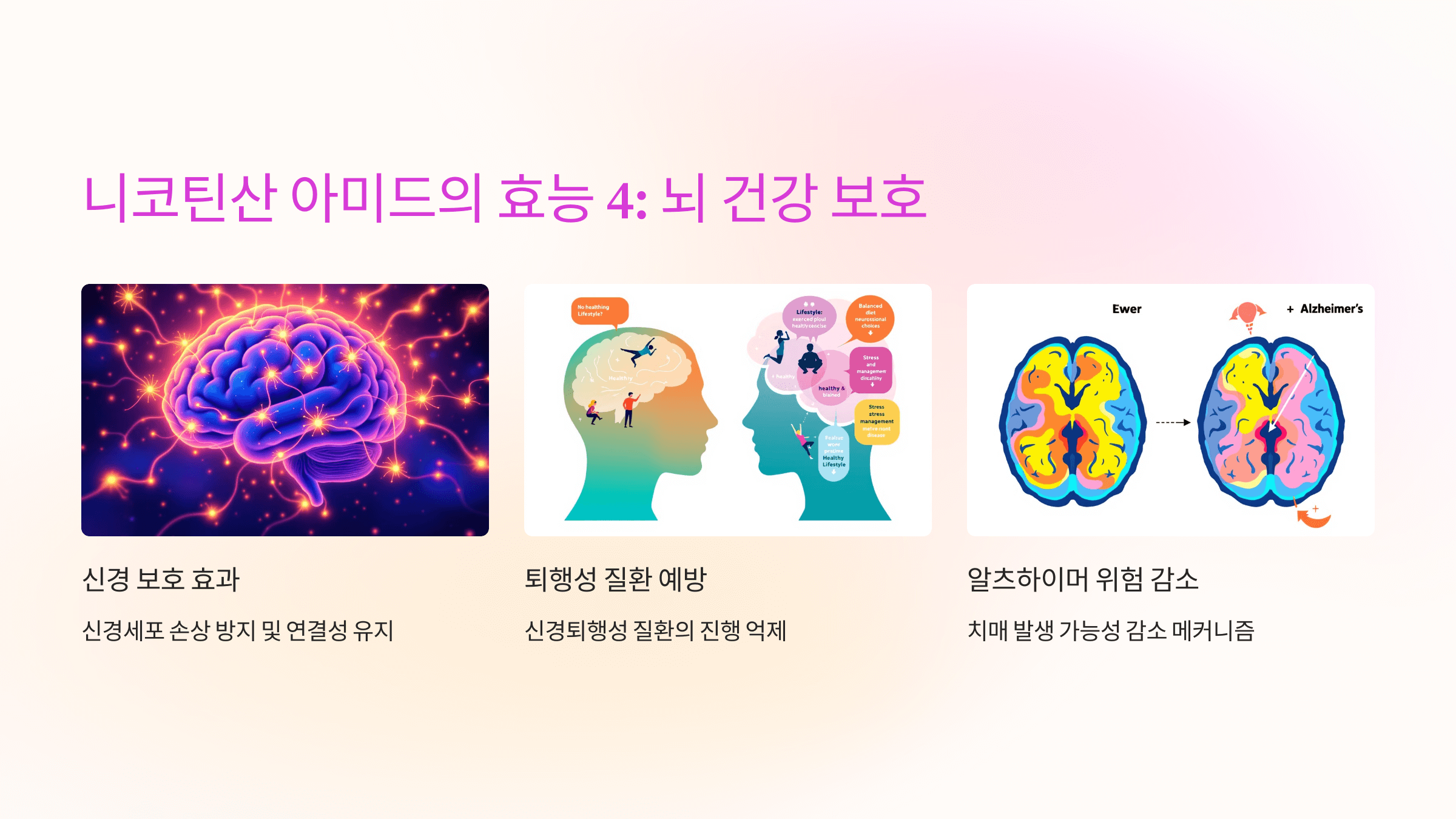 니코틴산 아미드와 관련된 사진입니다.