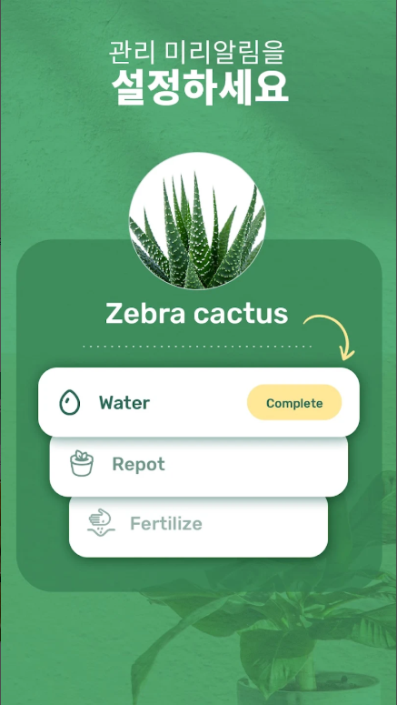 식물이름 찾기 어플, 앱 설치하고 사용하기