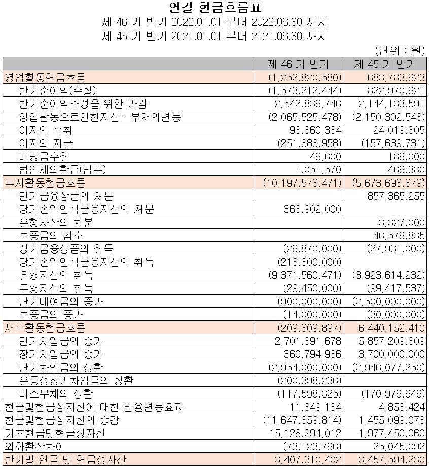 뉴인텍 - 현금흐름표