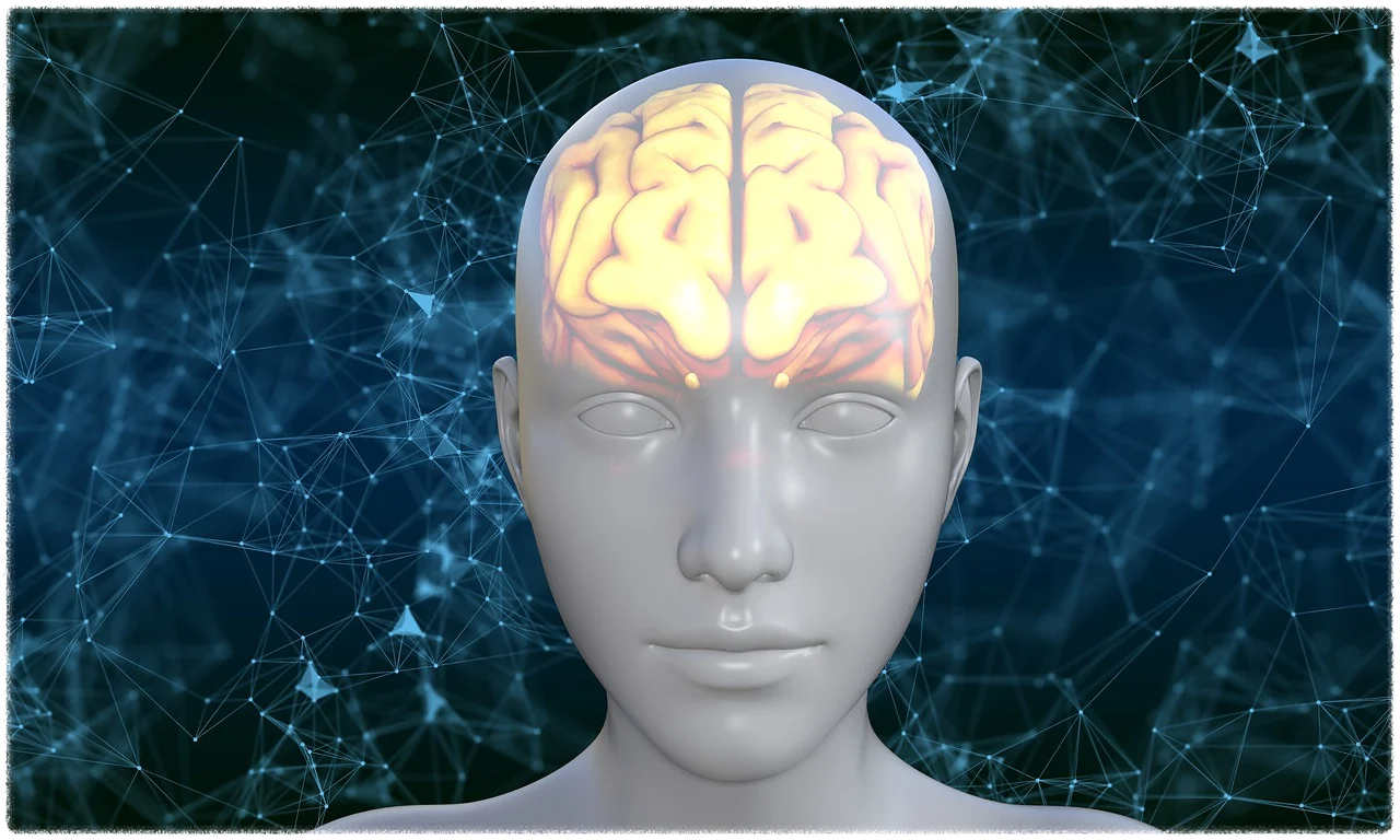 아이큐가 낮게 나왔을 때 안내