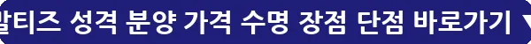말티즈 성격 분양 가격 수명 장점 단점_10