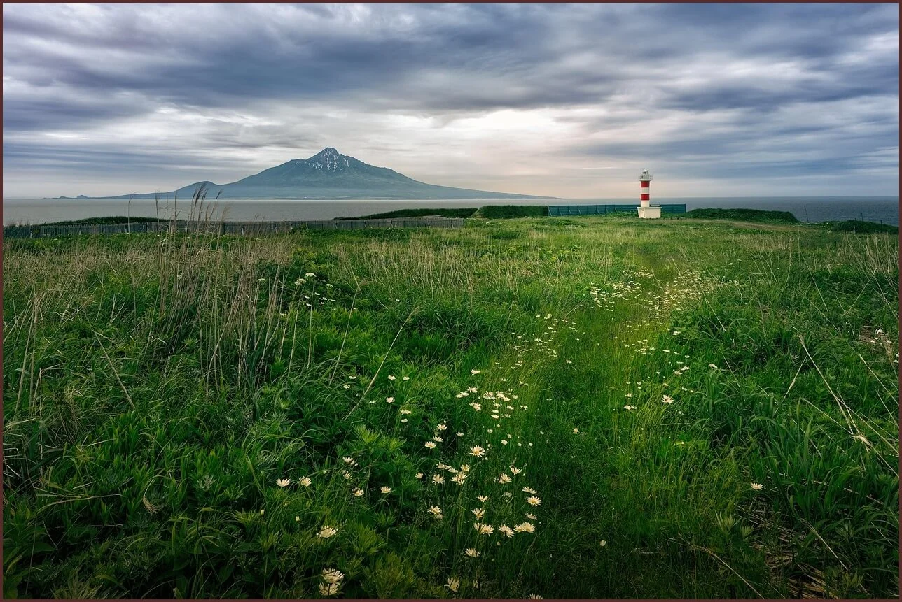 저축은행 정기예금 금리비교