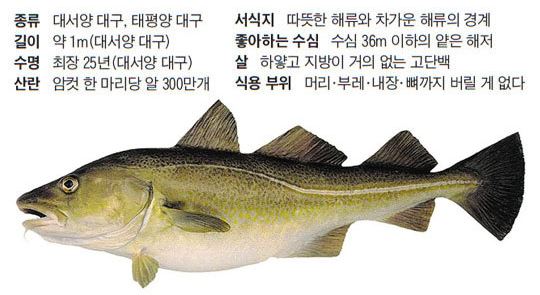 대구