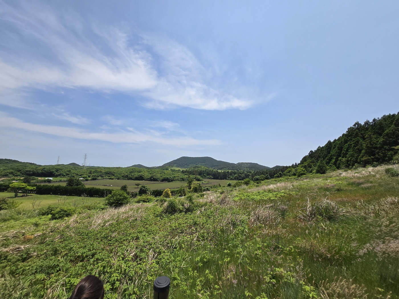 제주 백약이오름