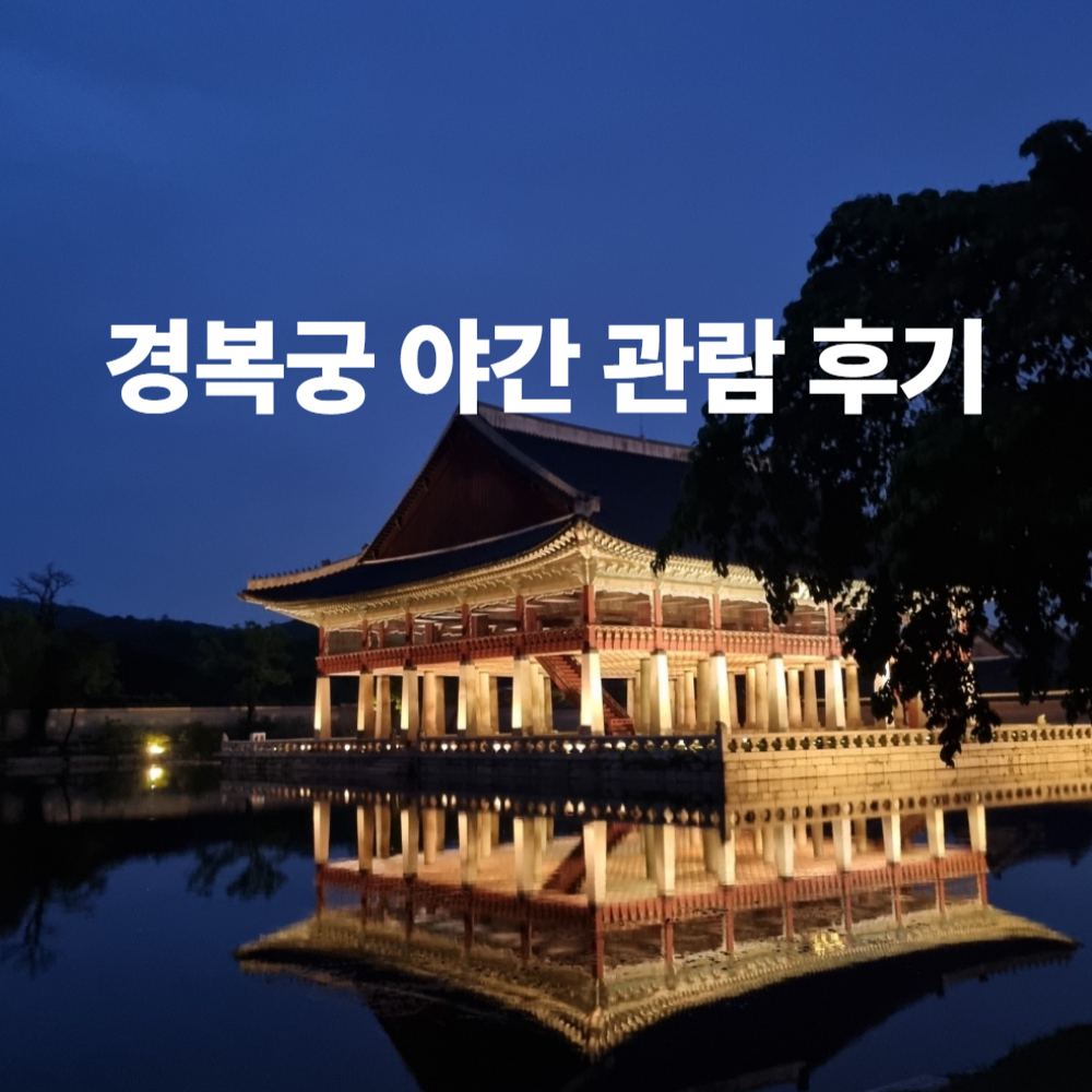 서울 야경 명소 경복궁 야간 개장 관람 후기