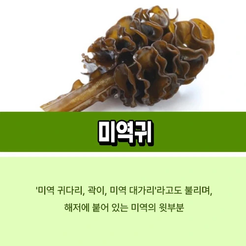 미역귀
