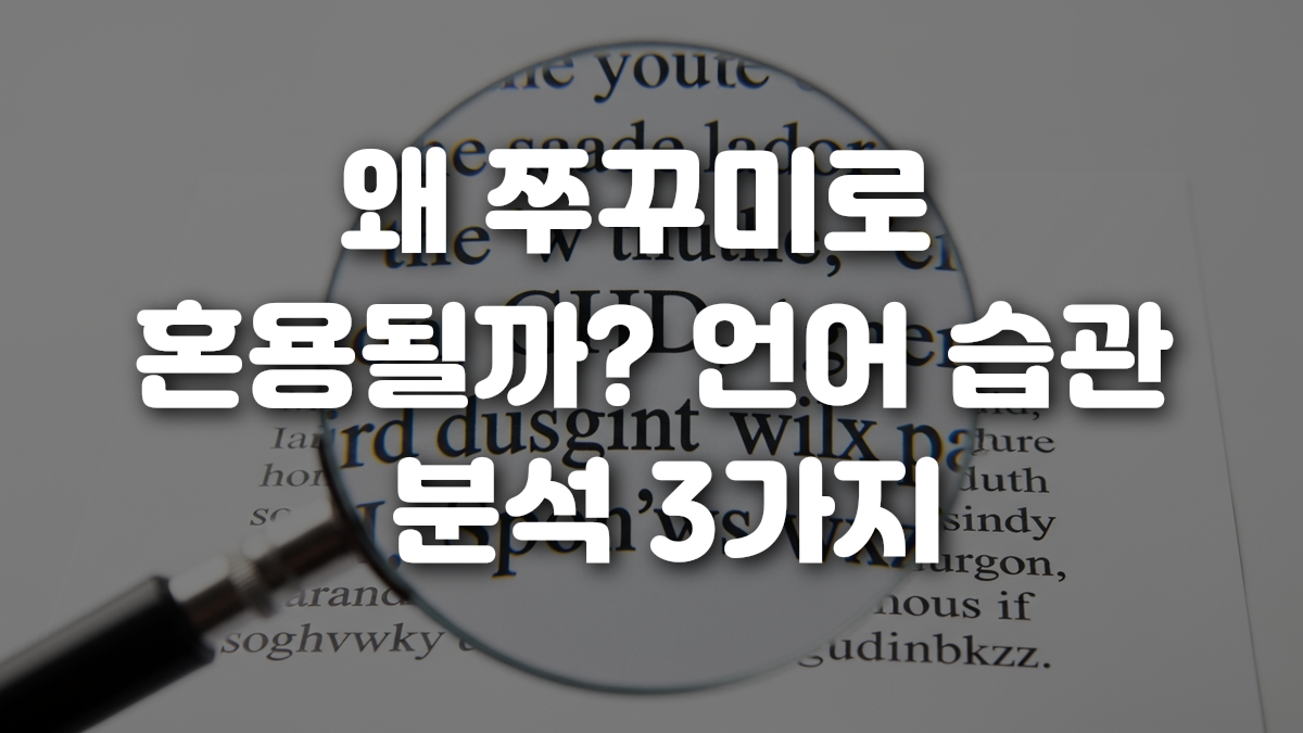 왜 쭈꾸미로 혼용될까 언어 습관 분석 3가지