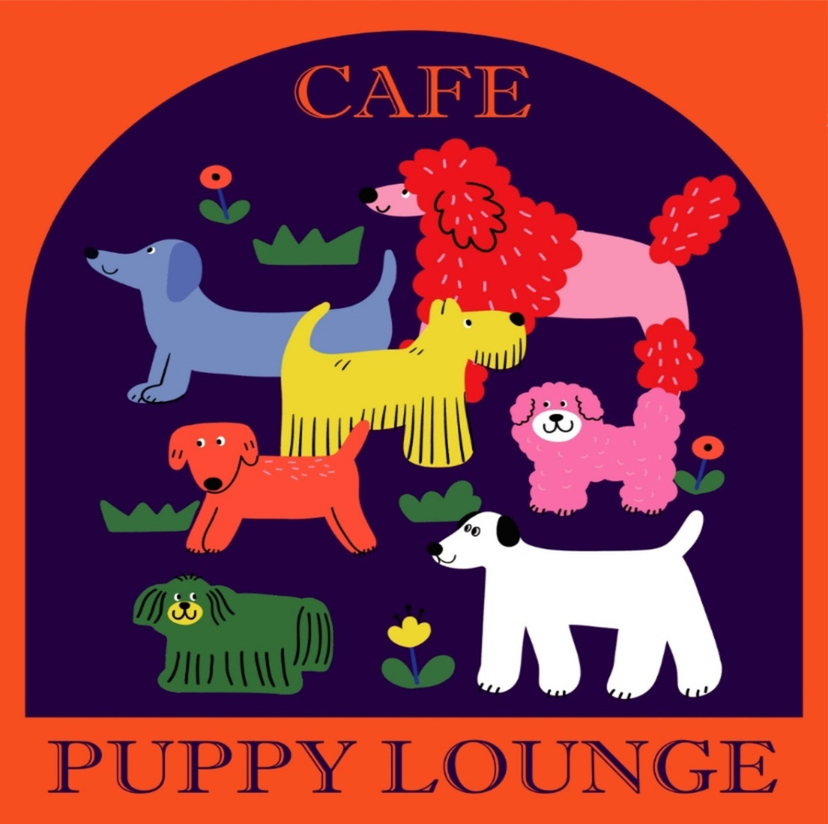 애견카페 관련 사진