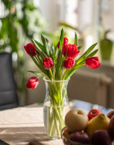 화훼의 영양관리