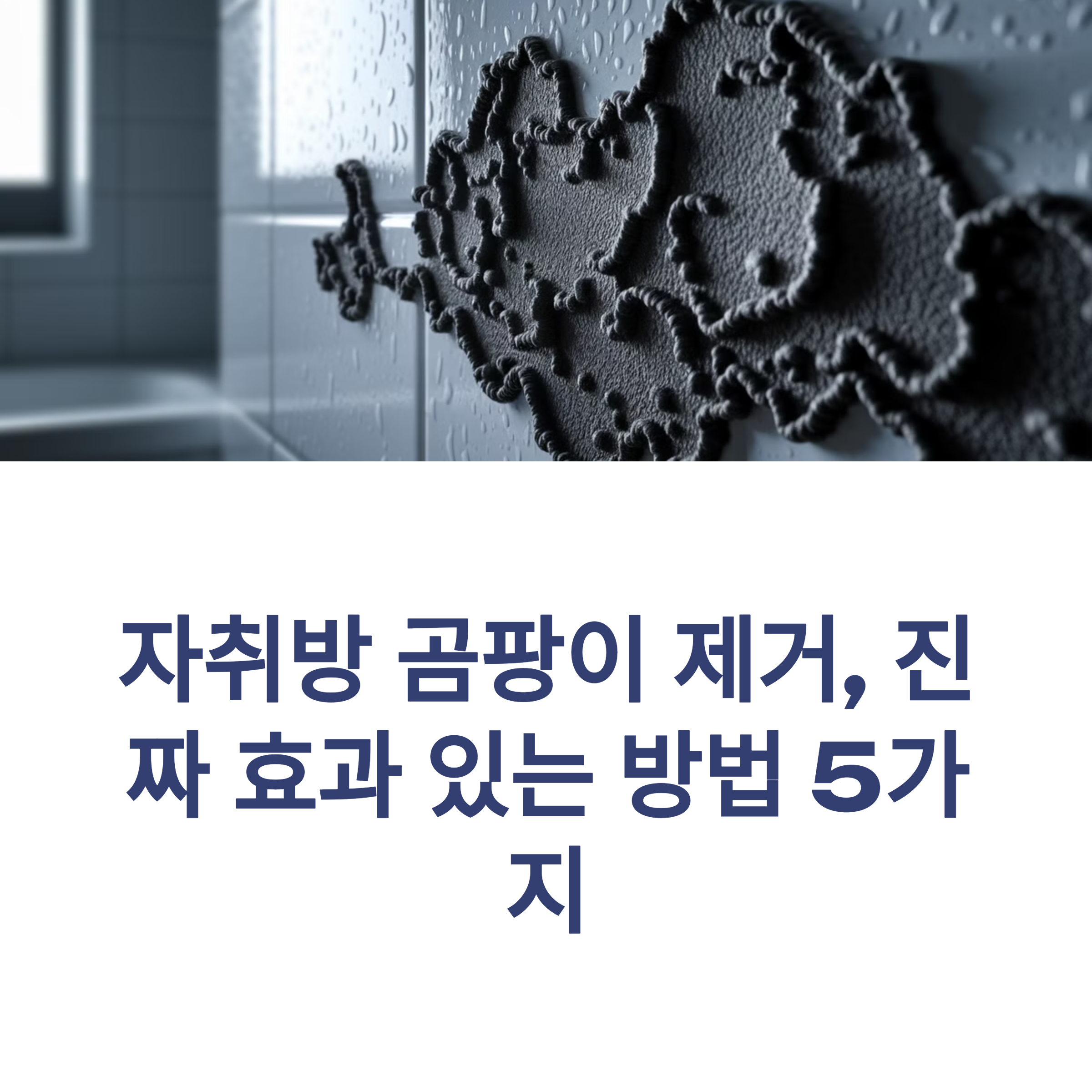 자취방 곰팡이 제거, 진짜 효과 있는 방법 5가지
