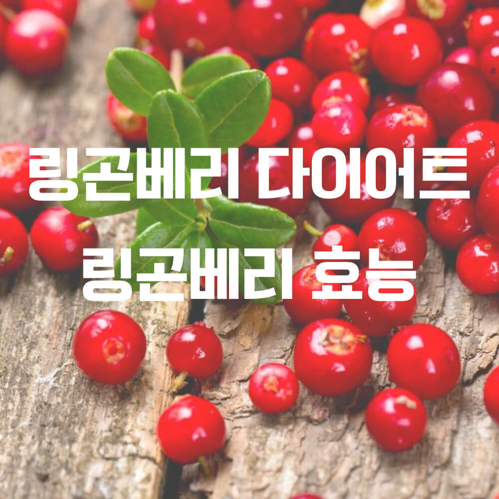 링곤베리효능