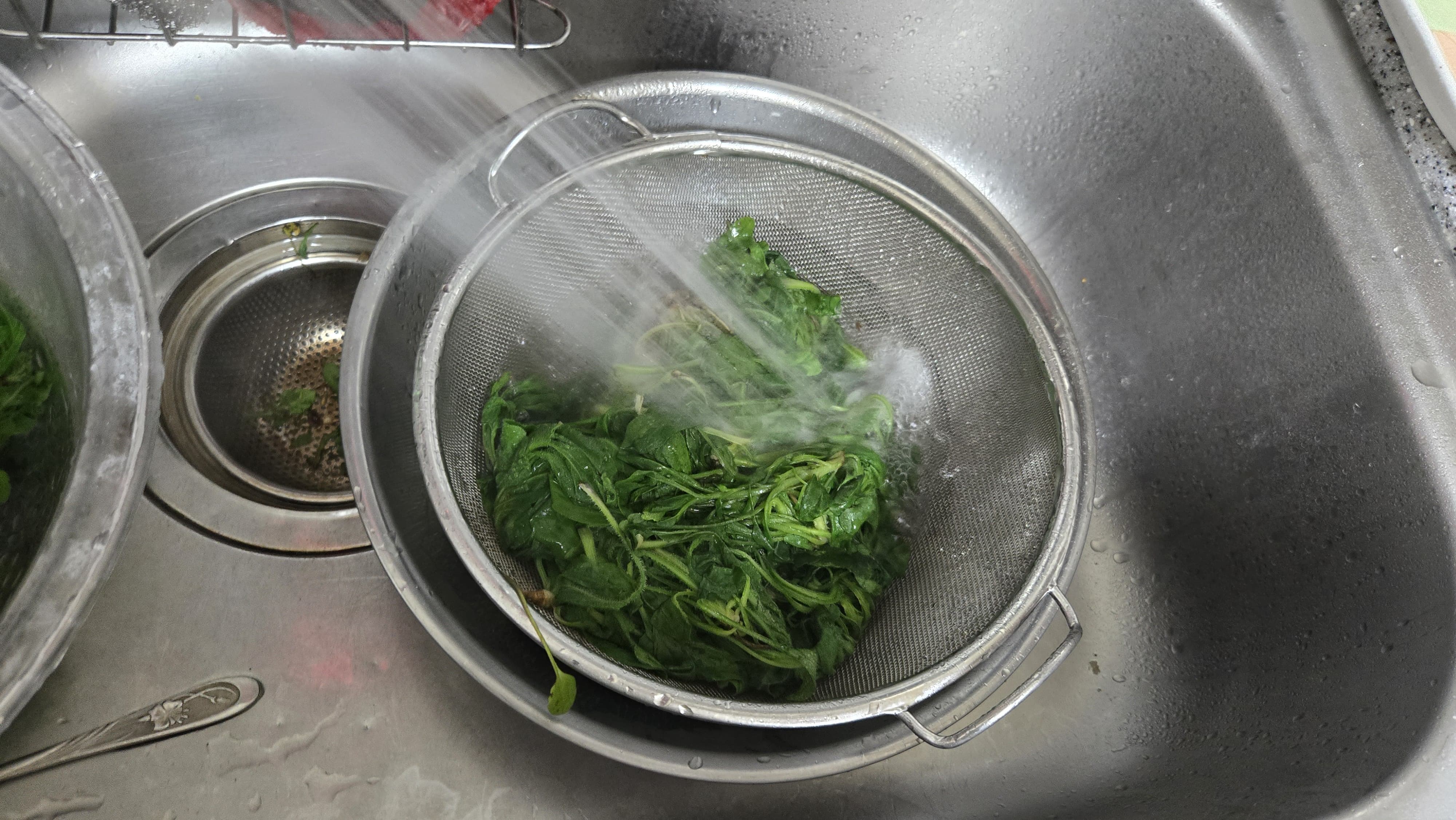 흙 제거 후 흐르는 물에 깨끗이 씻기