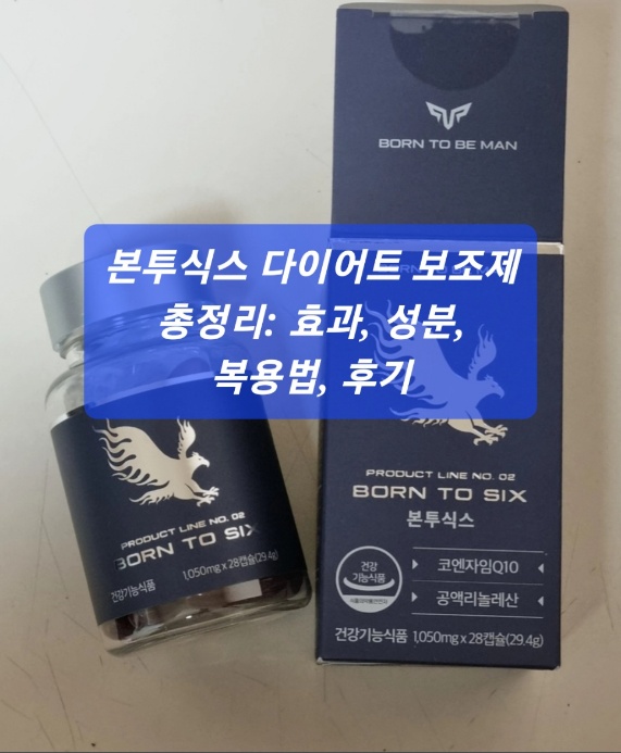 본투식스