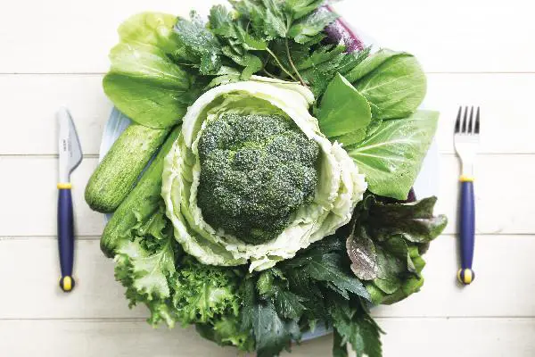 푸른 잎 채소에 많이 함유된 엽산