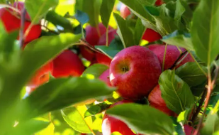 9월 제철음식, 9월 제철 해산물