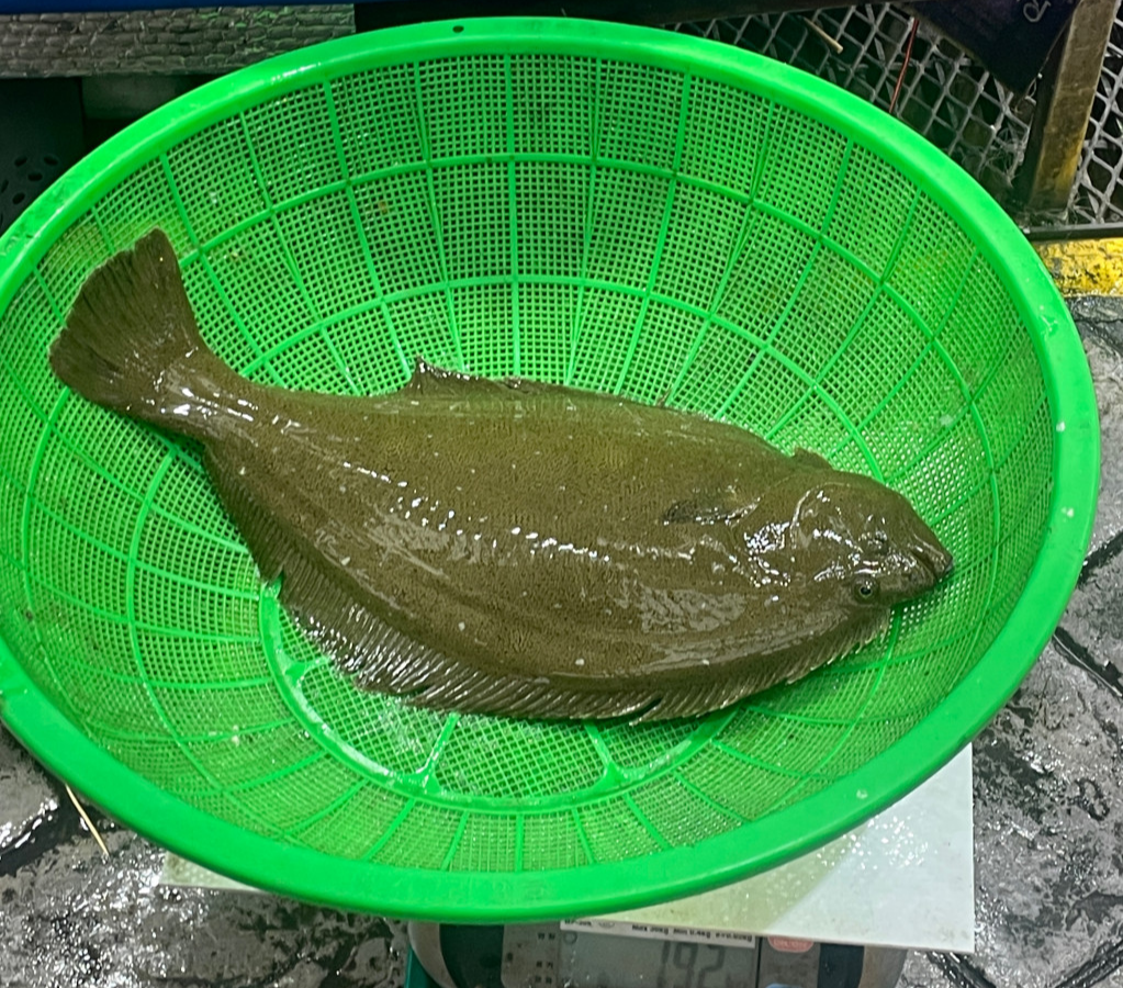 부안시장 돼지갈비 꽃게 갑오징어 구매