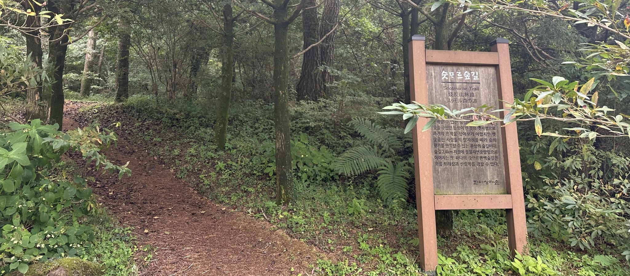 한라생태숲 산책로