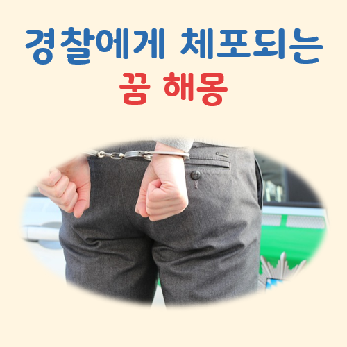 경찰에게 체포되는 꿈 해몽 대표 이미지