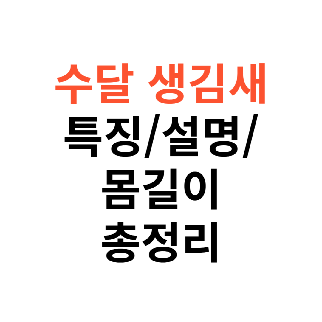 수달 생김새 특징