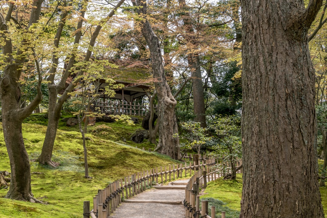 Kanazawa