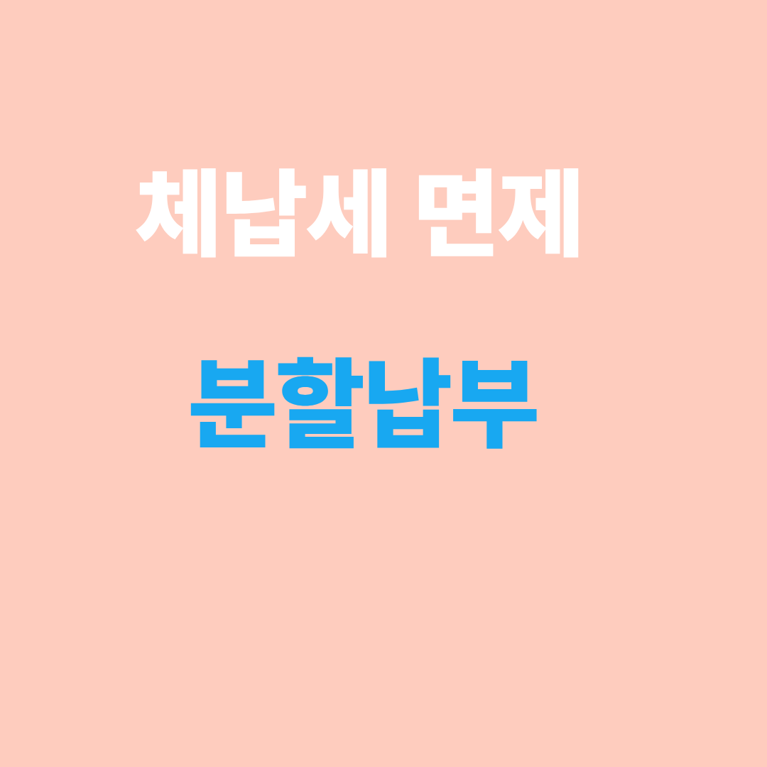 체납세 면제와 분할납부 차이점 비교