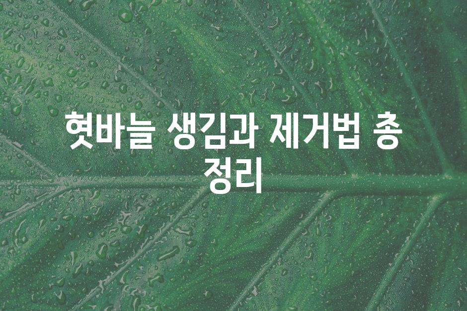 샘플 (44)