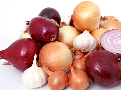 양파즙-효능7