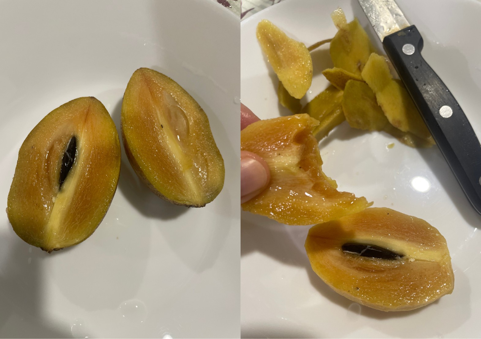 말레이시아에 과일 추천 사포딜라(Sapodilla)