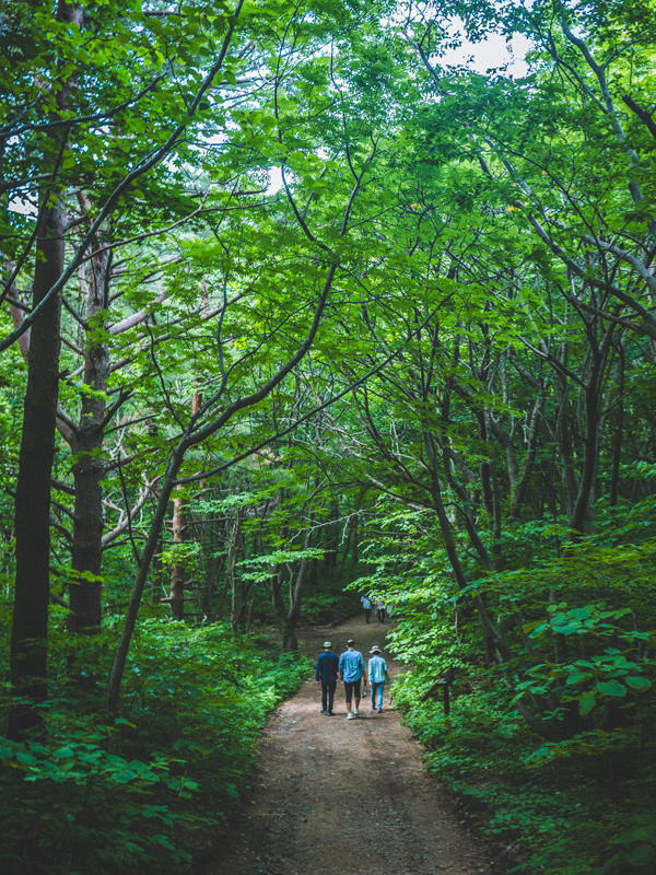 울릉도 ‘나리분지 둘레길’에서 만난 초록빛 힐링