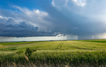 포항 불꽃축제 일정 2025년 16