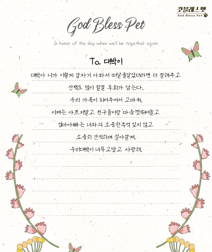 강아지-죽었을-때-위로