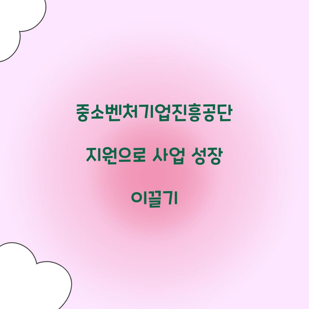 중소벤처기업진흥공단 지원