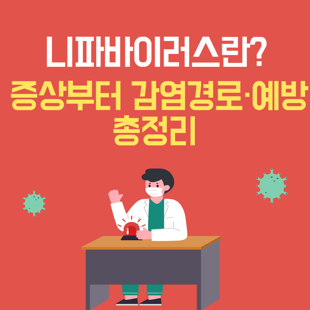 니파바이러스(Nipah virus)란? 증상부터 감염경로·예방까지 한눈에 정리