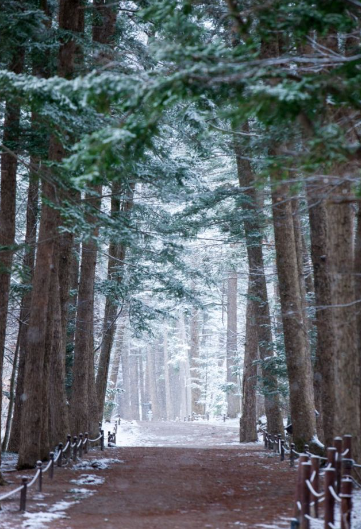 1월 전라북도 가볼만한곳 여행지 ❘ 국내 겨울 명소 추천 ❘ 전라도 ❘ 데이트 가족 실내 나들이