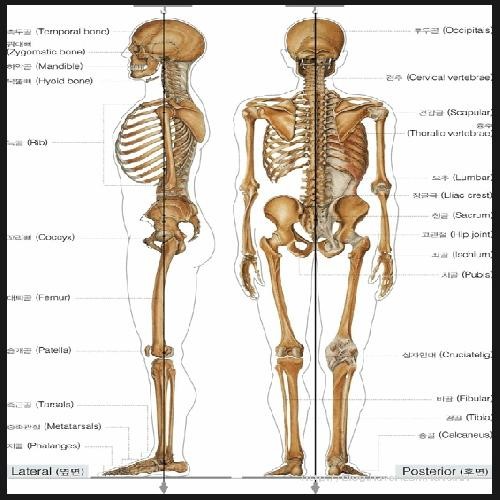 파주시 문산읍 정형외과 유명한 곳 잘하는 곳 추천 TOP 5