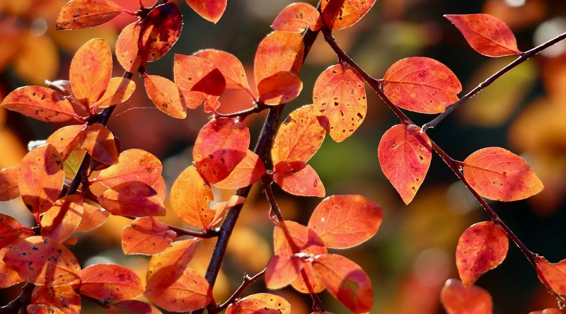 공장 환기설비의 필요성